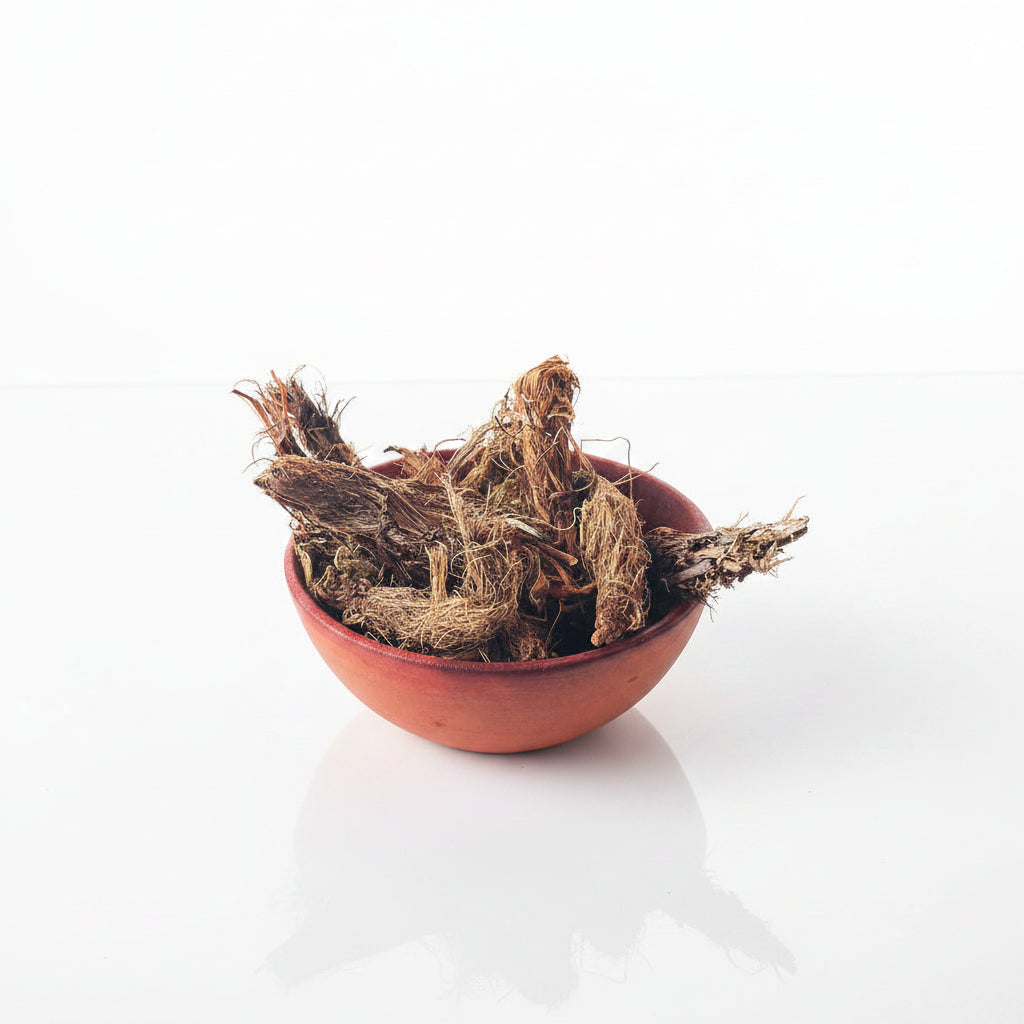 Jadamanji Root | Spikenard Musk | Nardostachys Jatamansi | Balchad