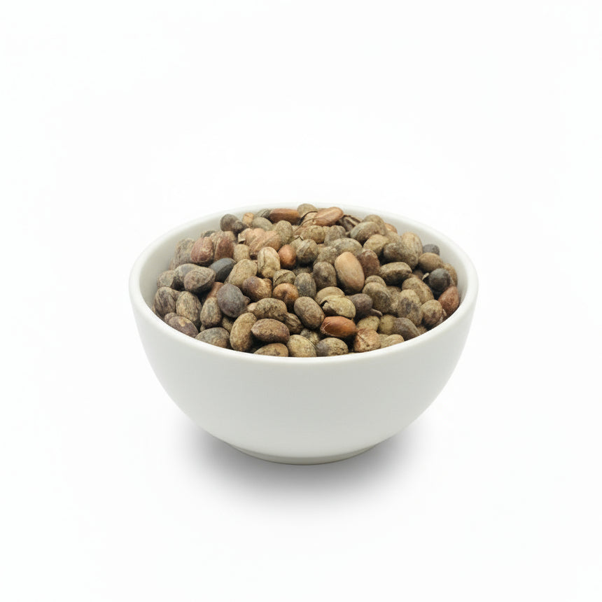 Jamalgota Beej | Jamalgotha Seeds, Croton Tiglium Raw | Neervalam - Narchalam Seeds - Nepali Japala