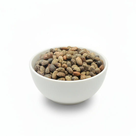 Jamalgota Beej | Jamalgotha Seeds, Croton Tiglium Raw | Neervalam - Narchalam Seeds - Nepali Japala