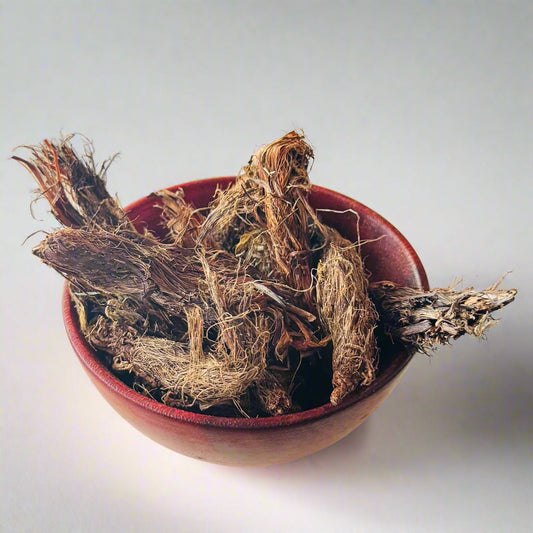 Jadamanji Root | Spikenard Musk | Nardostachys Jatamansi | Balchad