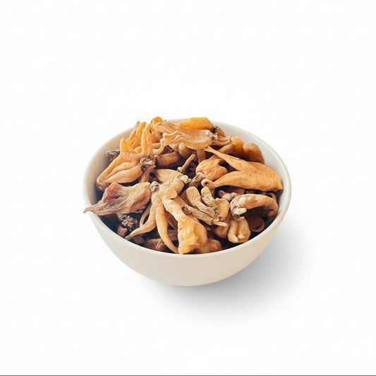 Original Yellow Salam Panja - Hatta Haddi - Panchaule Dactylorhiza Hatagirea - Salab Panja